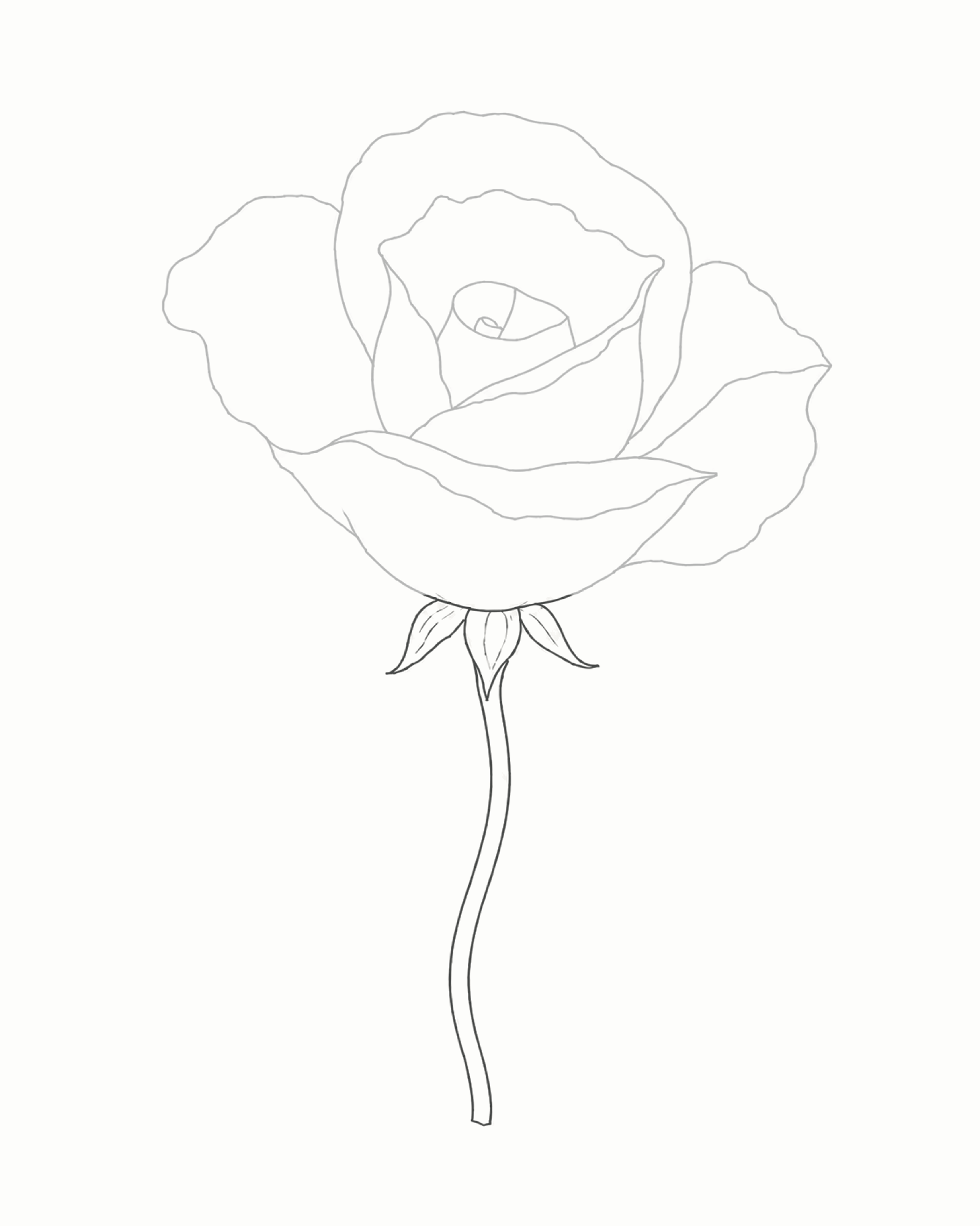 Stage 5 rose drawing adding three sepals and a continuous gently curved S-shaped stem beneath the bloom