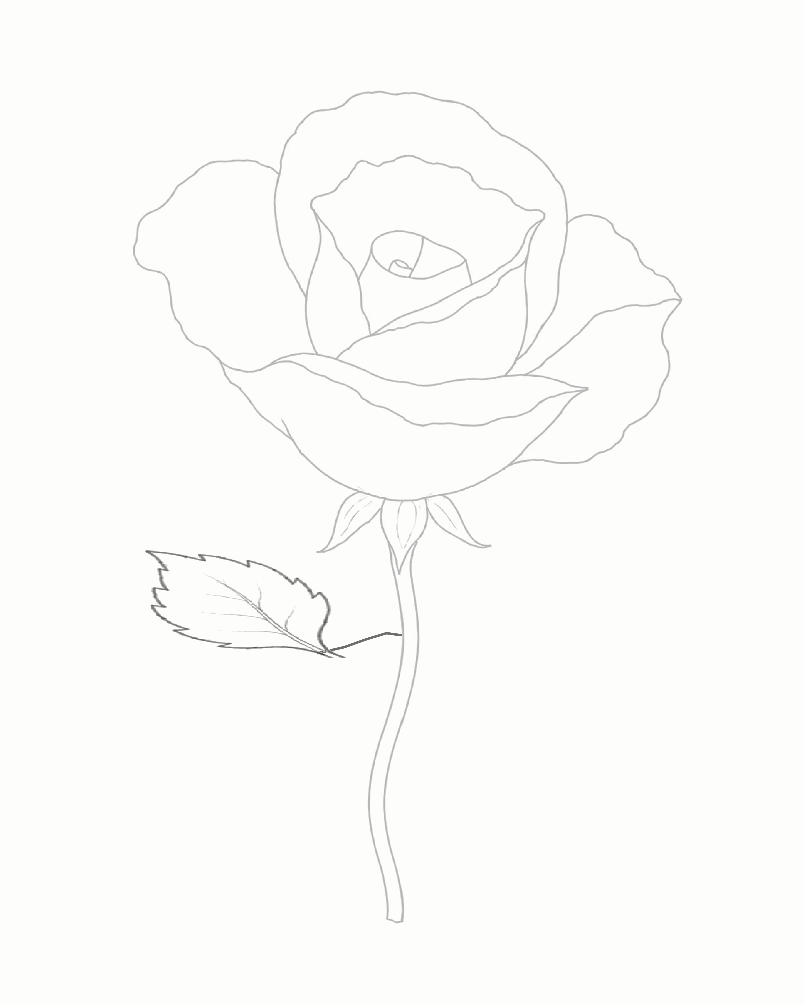 Stage 6 rose drawing adding a larger serrated left leaf connected to the stem through a short stalk and centre vein