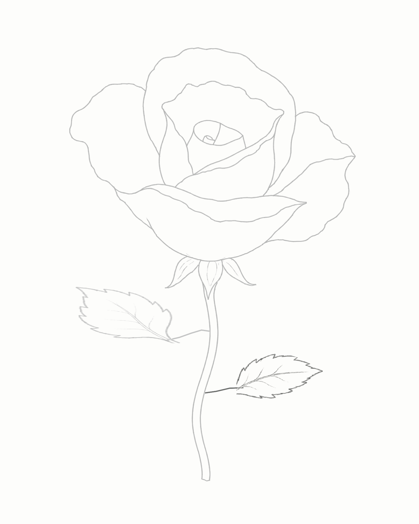 Stage 7 complete rose line drawing with a smaller lower-right leaf added below the larger left leaf