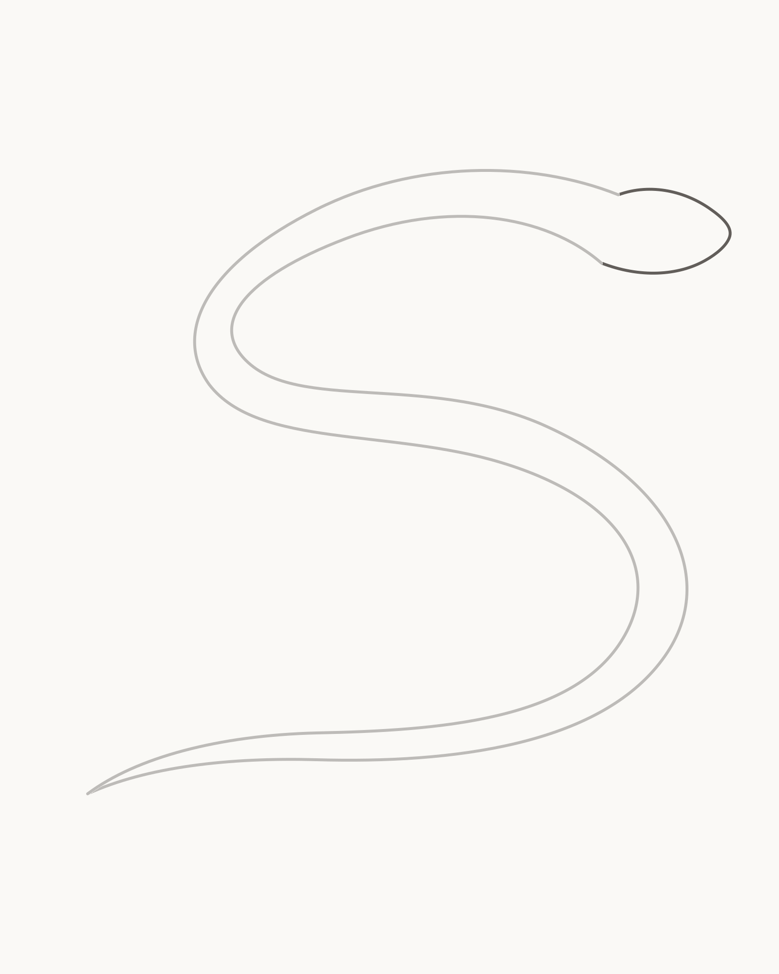 Stage 3 snake drawing adding a low asymmetric wedge-shaped head between the two fixed neck endpoints