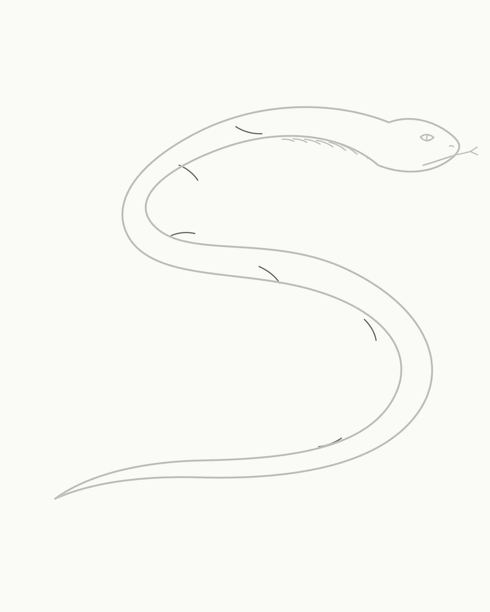 Stage 7 snake drawing adding exactly six irregular open saddle fragments that rotate and shrink with the body taper
