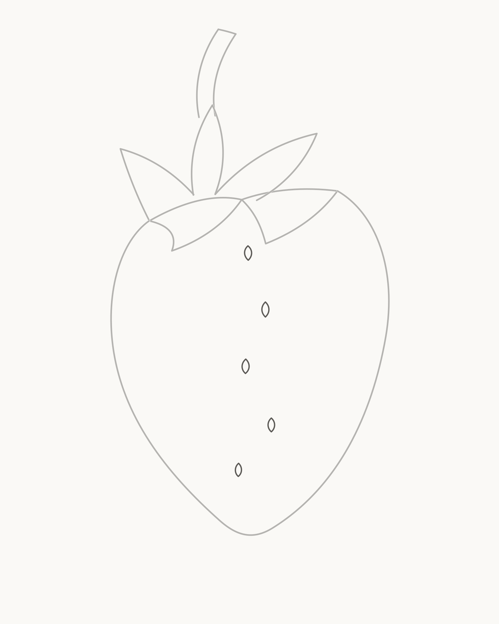 Stage 5 strawberry drawing adding five full staggered achene outlines through the centre of the fruit
