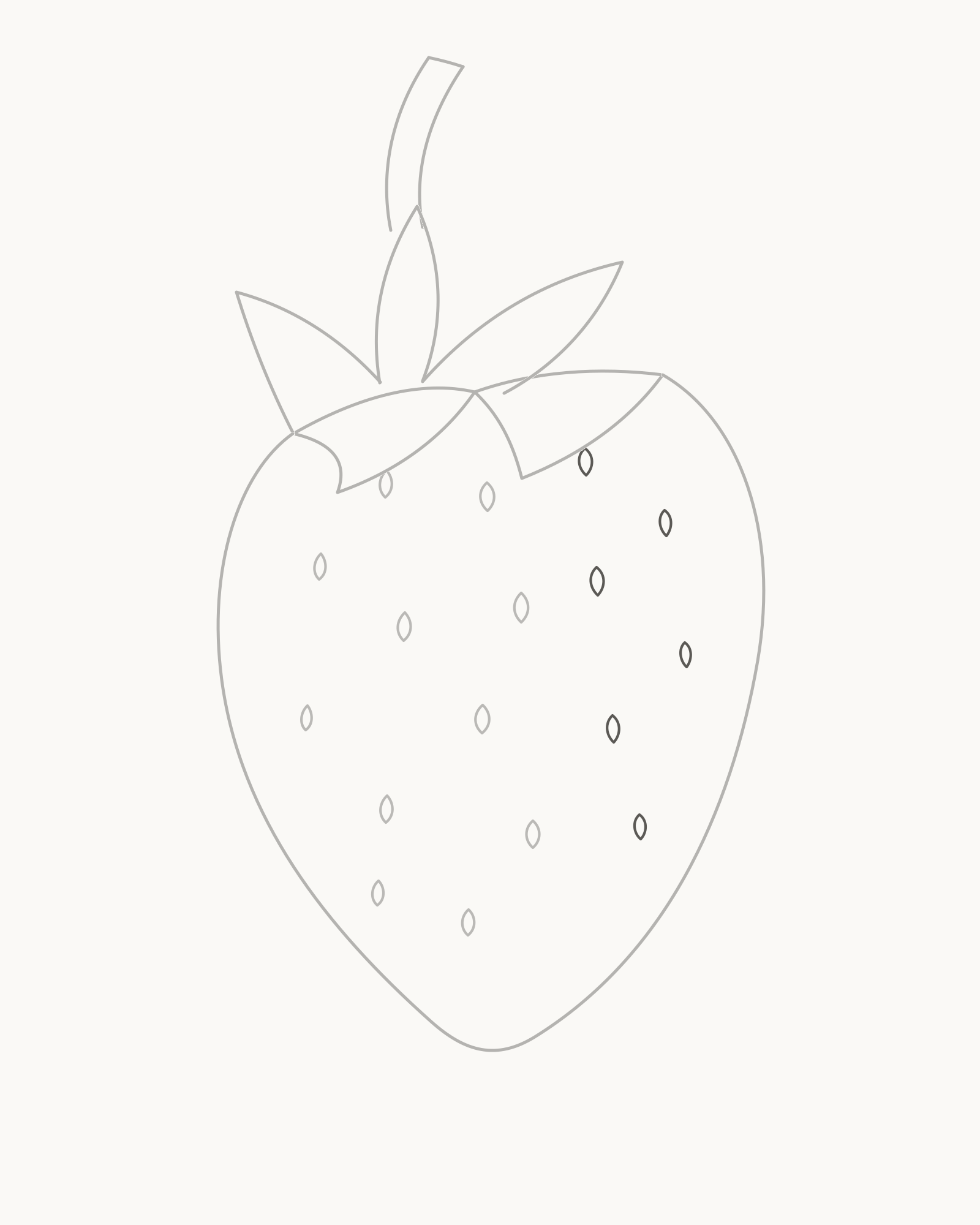 Stage 7 strawberry drawing adding six non-mirrored right-side achenes to complete seventeen total