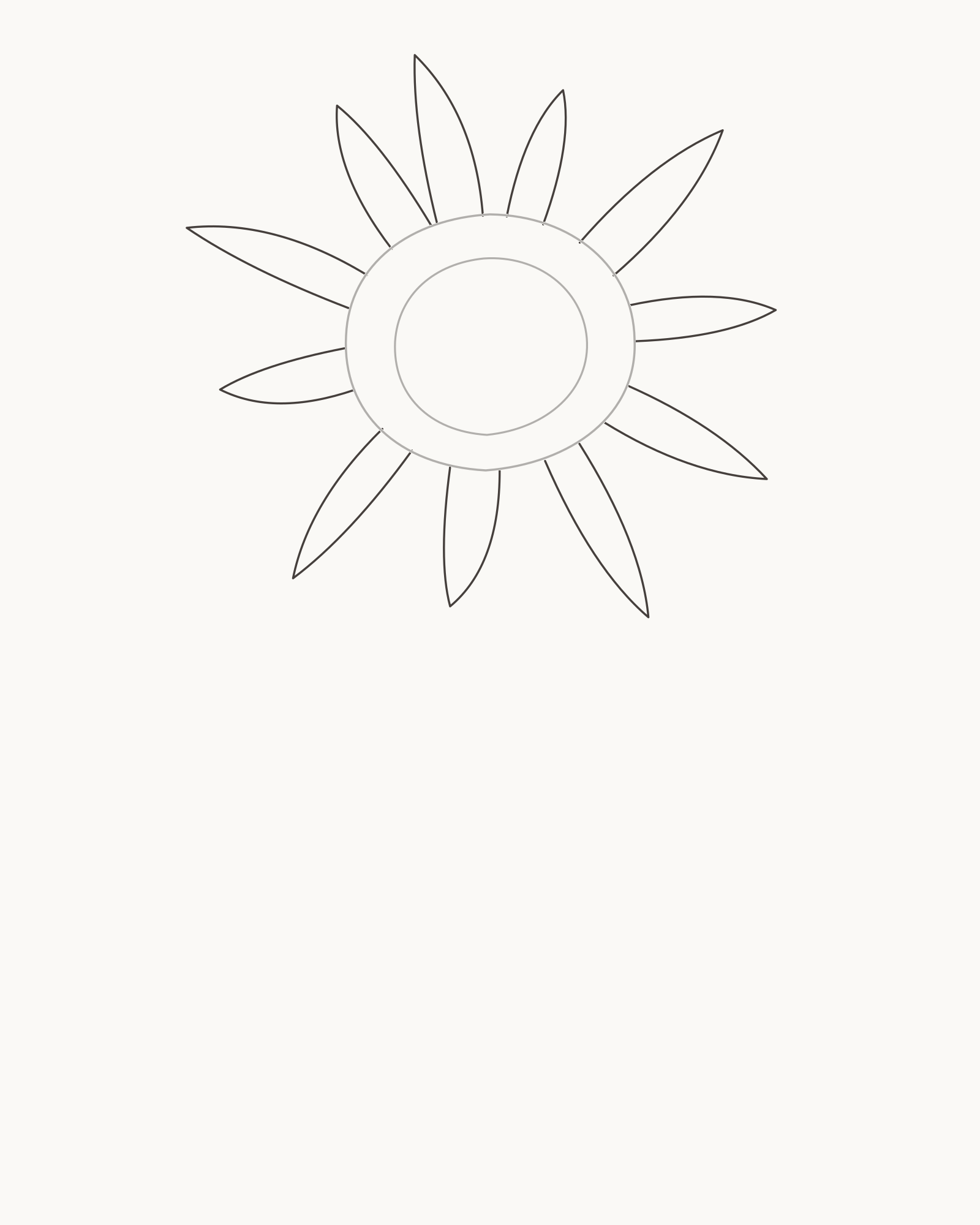 Stage 2 sunflower drawing adding eleven complete unequal front rays around the preserved two-part disc