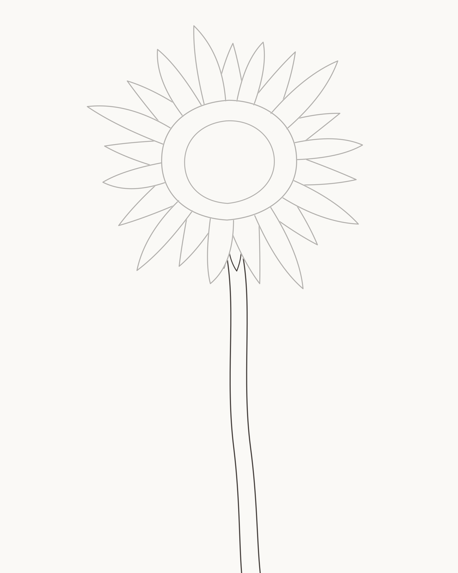 Stage 4 sunflower drawing adding three small bracts and a sturdy two-edge reverse-curved stem beneath the head