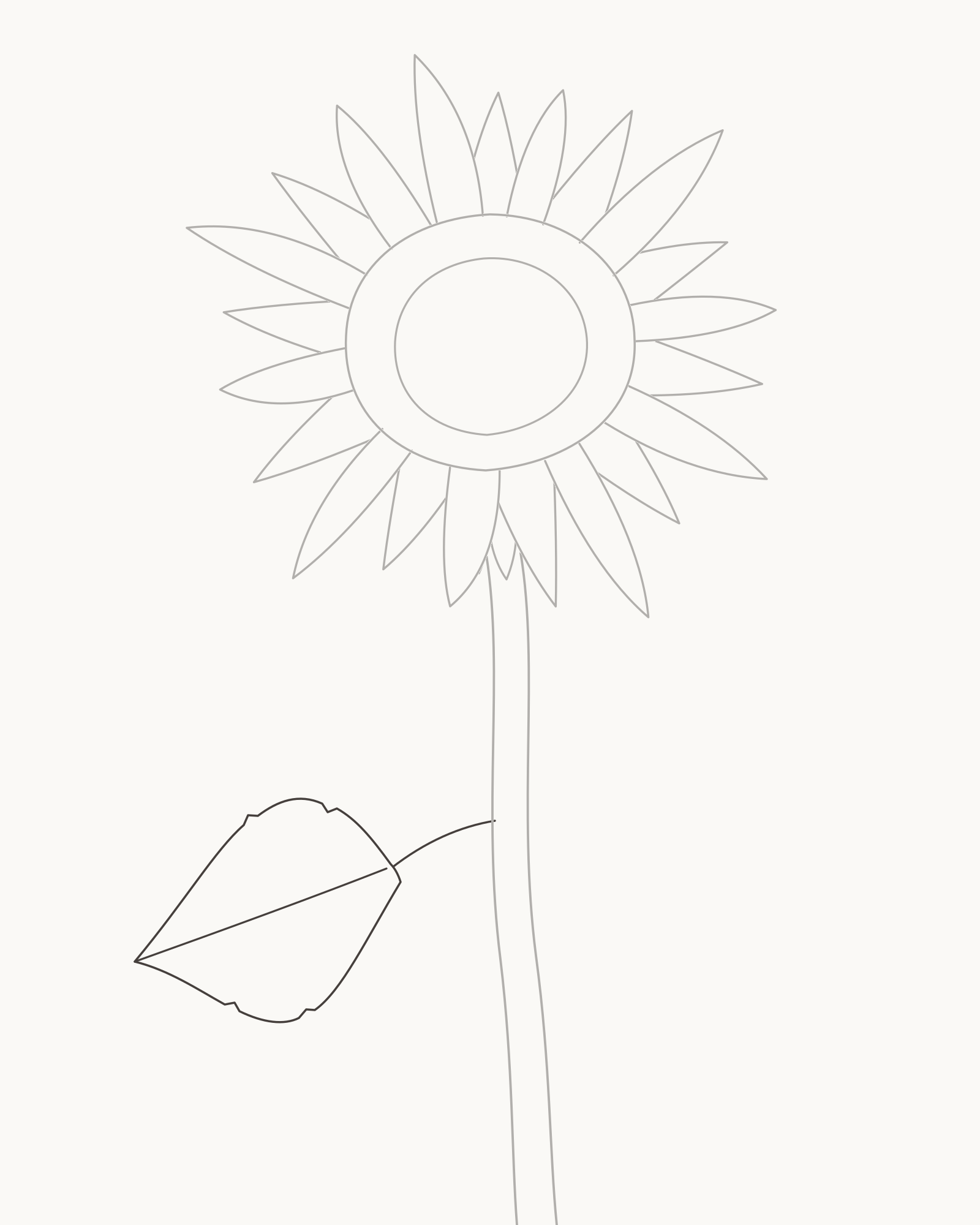 Stage 5 sunflower drawing adding one broad lower-left leaf attached through its petiole and retained midrib