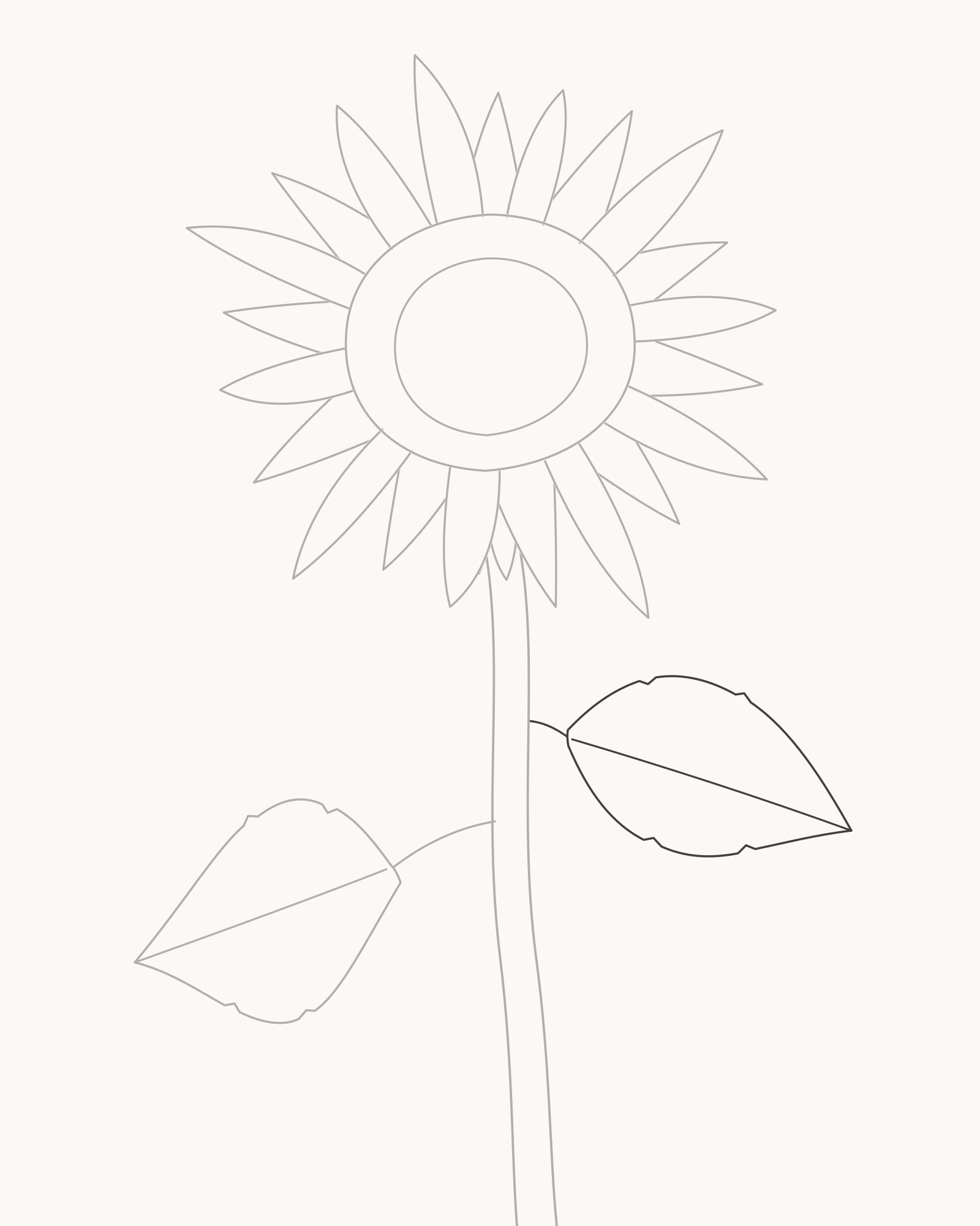 Stage 6 sunflower drawing adding a smaller higher right leaf at a different angle from the large leaf