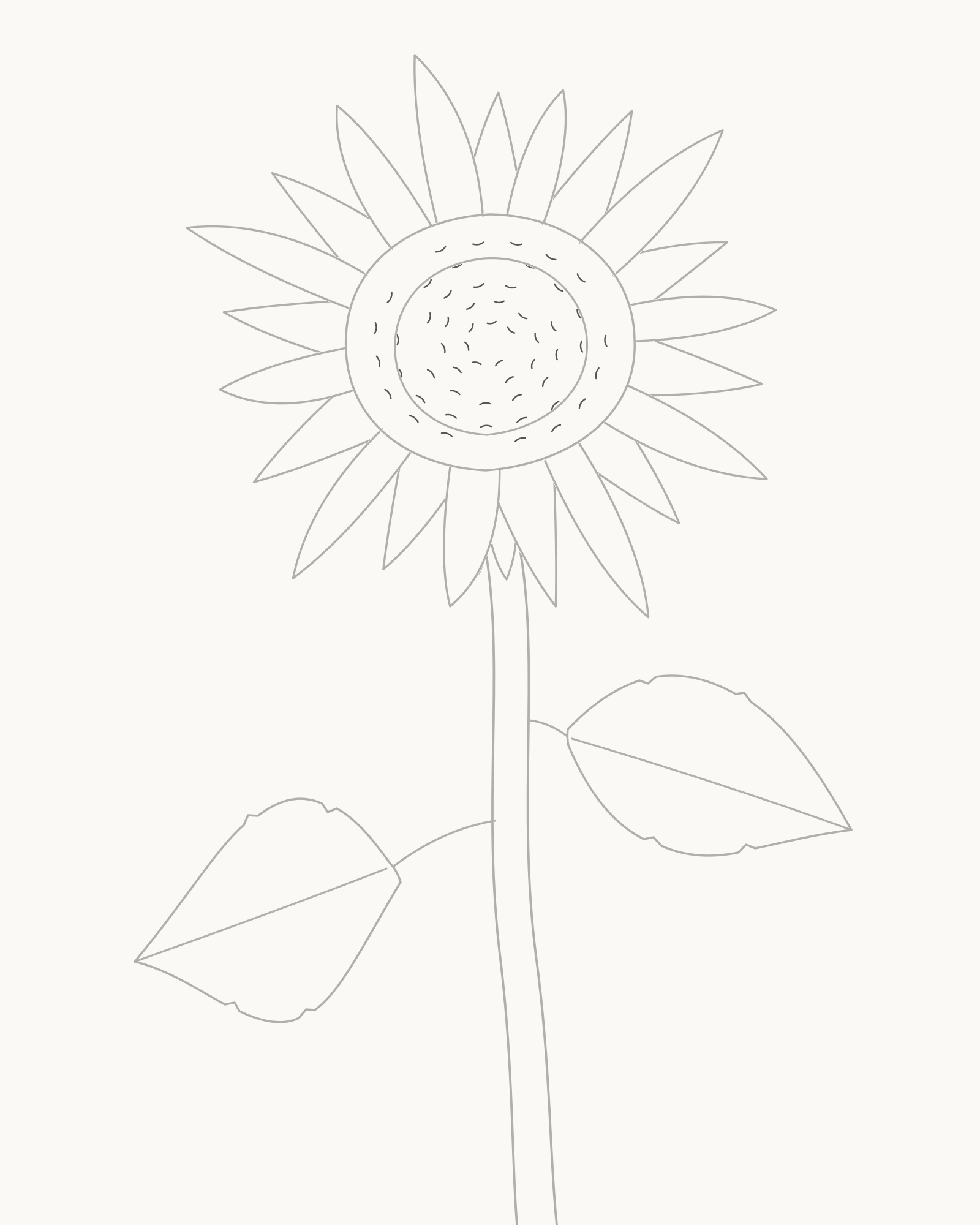 Stage 7 sunflower drawing adding three broken curved bands in the core and two in the outer disc