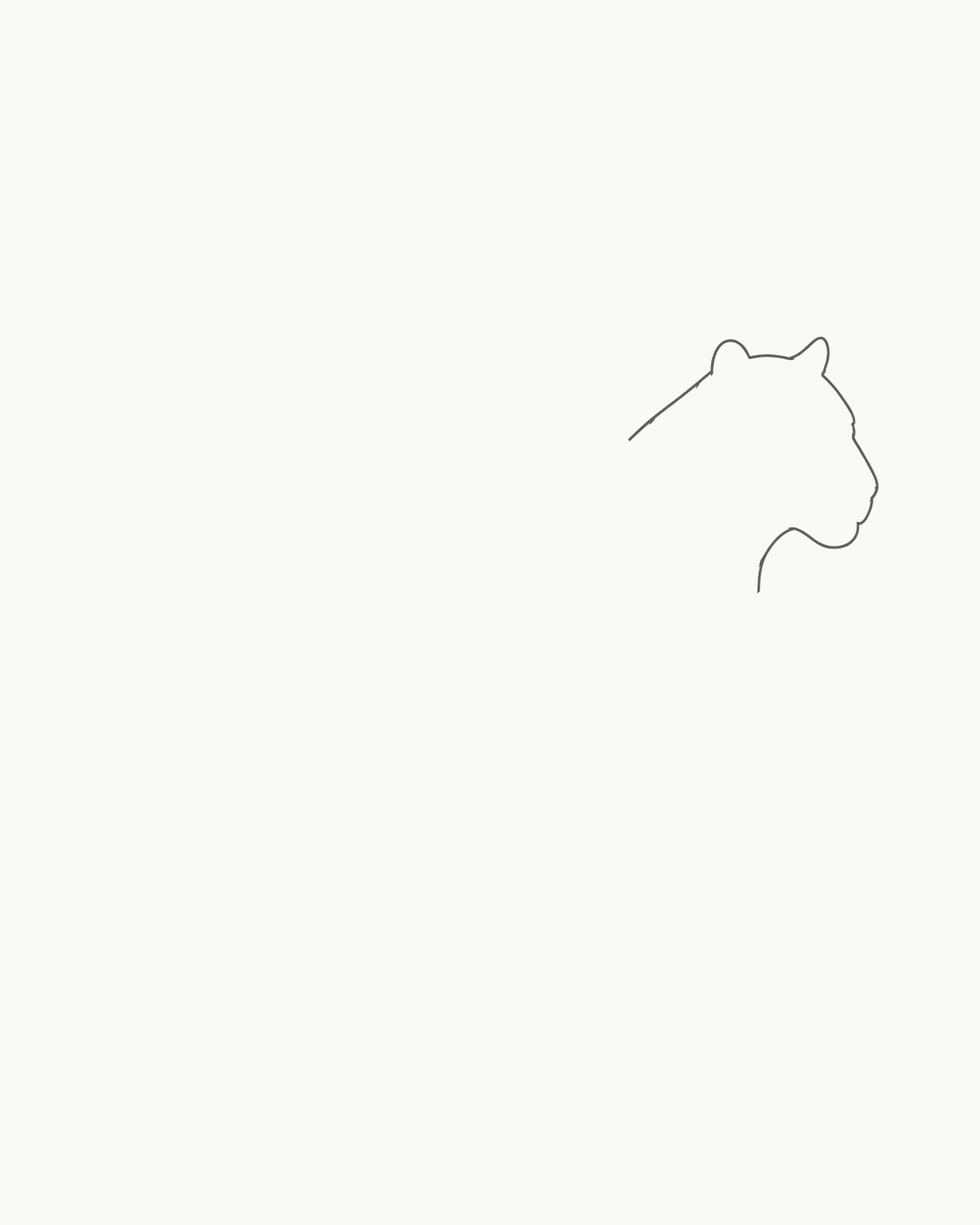 Stage 1 tiger drawing showing the permanent low head with a right-facing muzzle, a taller near ear, a smaller far ear and two open neck endpoints