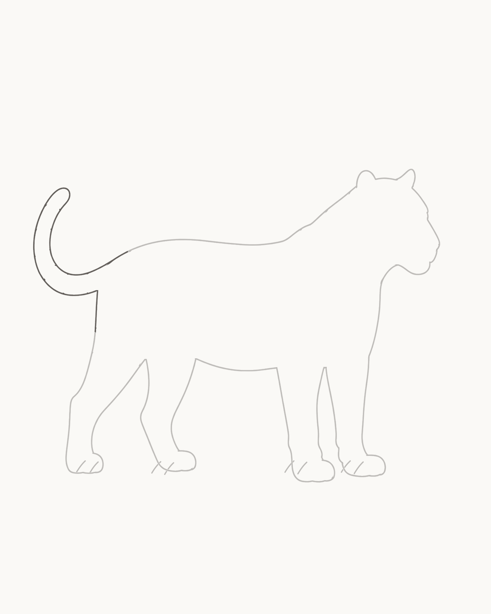 Stage 5 tiger drawing adding a raised tapering tail between the two fixed rump endpoints with a single rounded tip