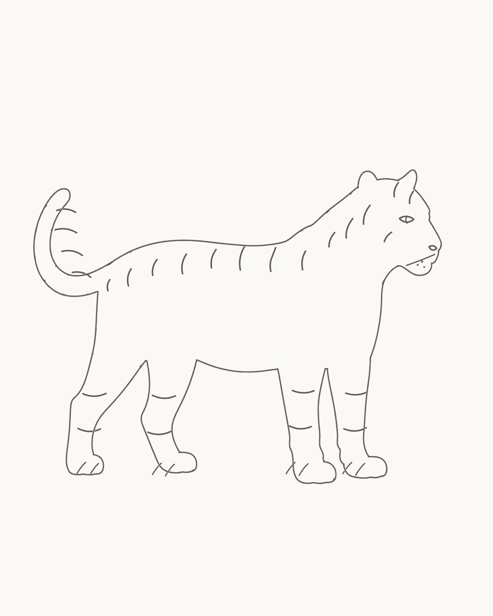 Complete line drawing of a calm adult right-facing tiger with four grounded legs, a raised tapering tail and unequal open stripes
