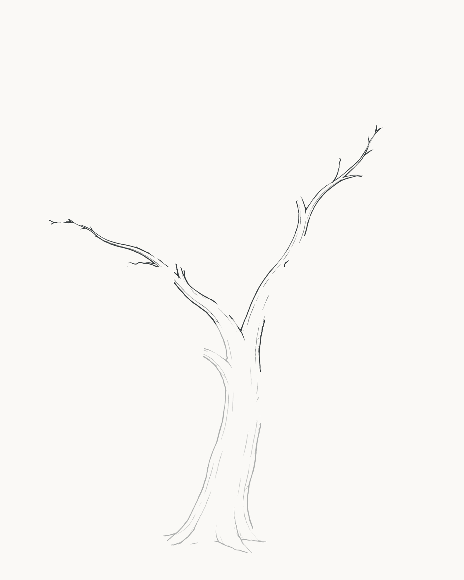 Stage 2 tree drawing adding a broad lower-left limb and narrower higher-right limb, each with its visible simple endpoint split