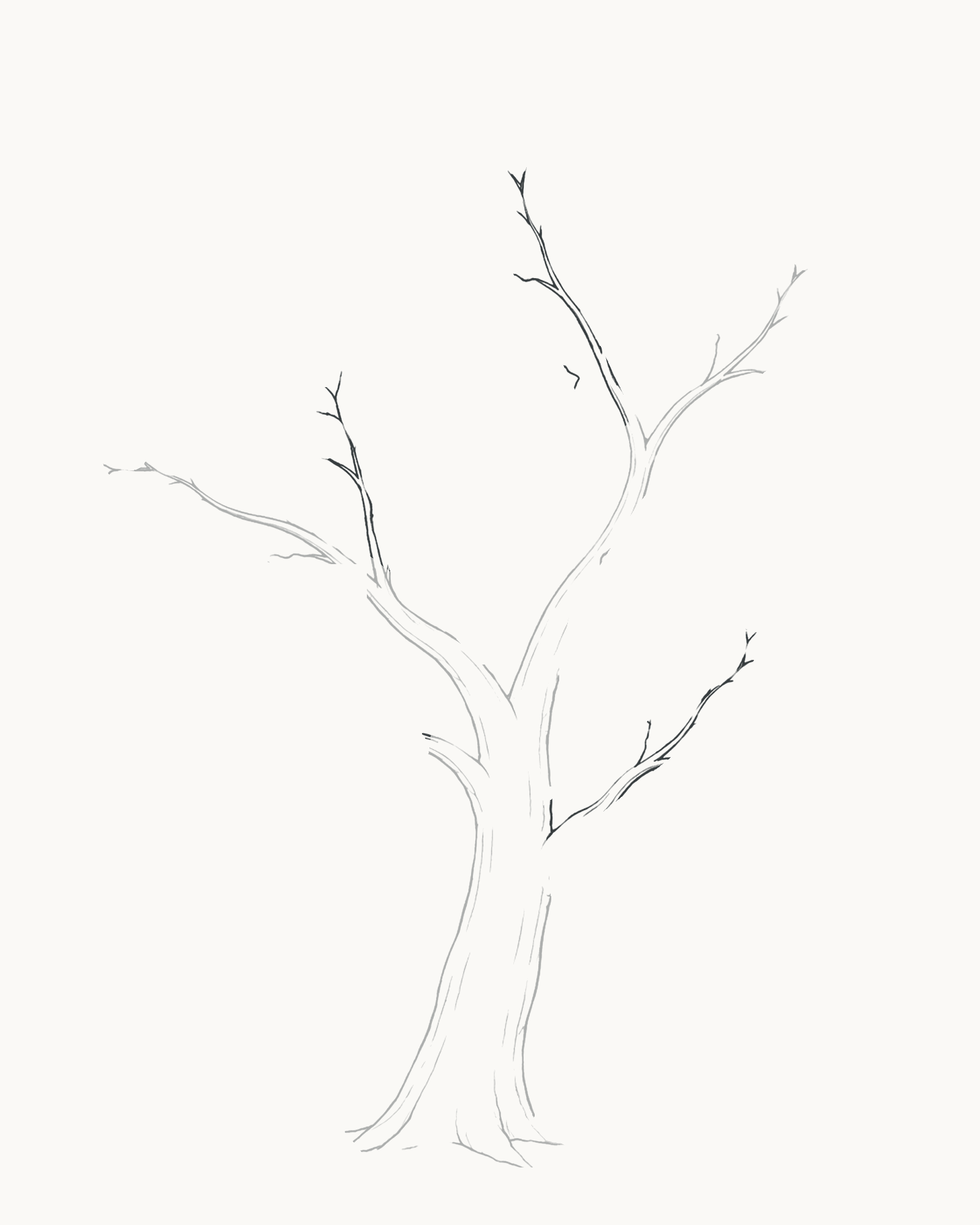 Stage 3 tree drawing adding three smaller attached secondary branches at unequal heights and angles