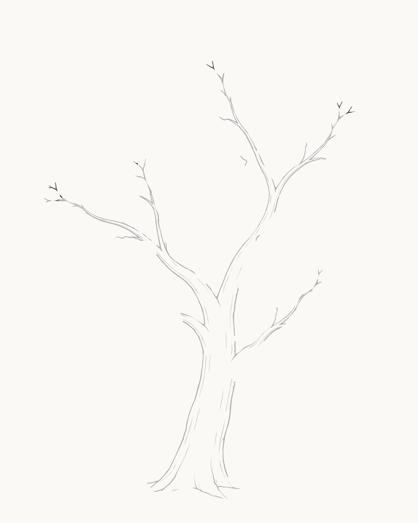 Stage 4 tree drawing adding a sparse set of fine tapered terminal forks to the existing branch framework