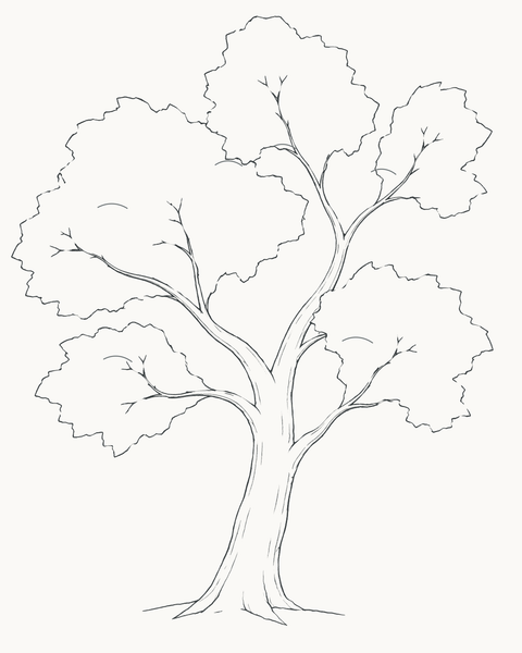 Completed pencil tree from the seven-stage drawing guide