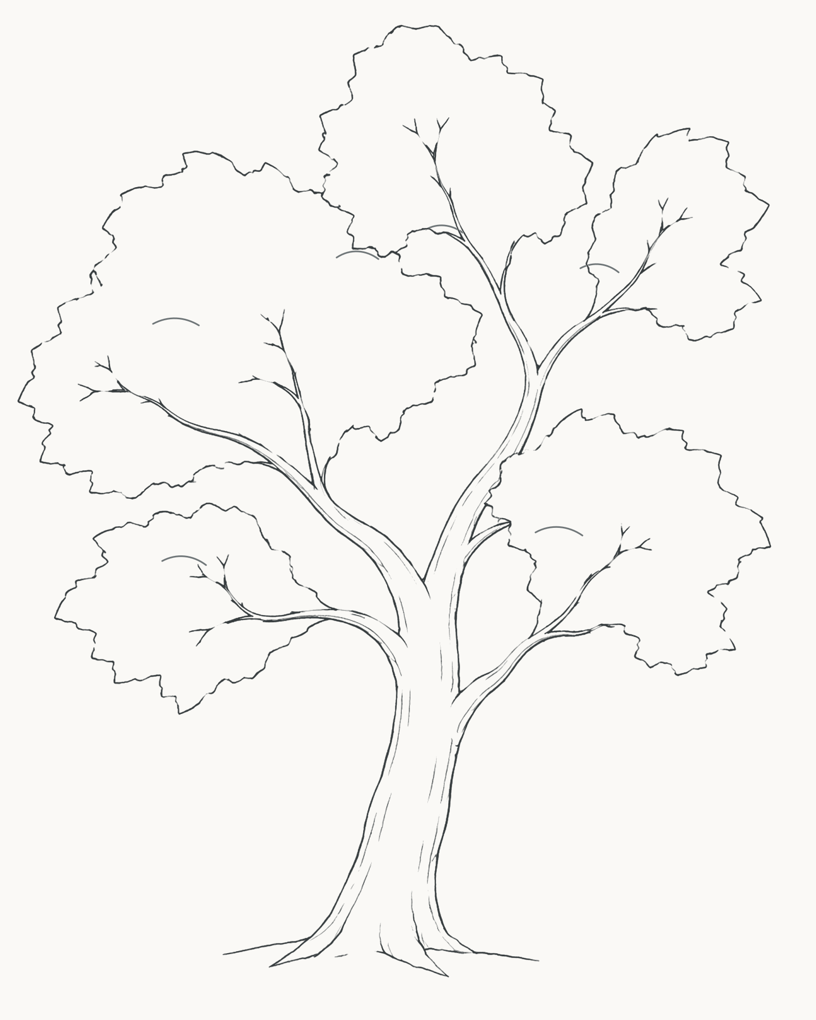 Complete deciduous tree line drawing with a tapered trunk, attached branches, five foliage groups and two ground strokes