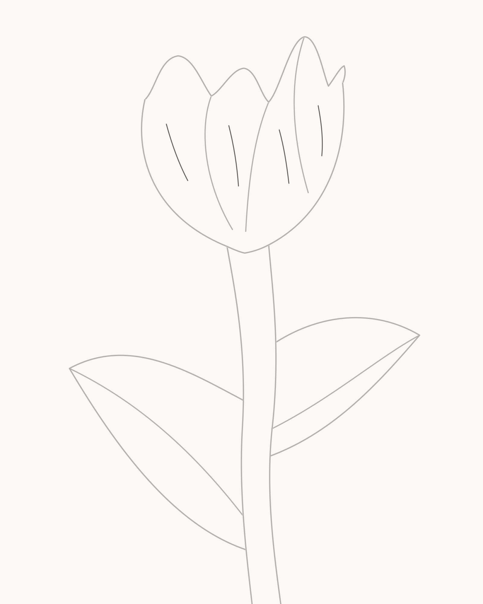 Stage 7 tulip drawing adding exactly four short directional folds inside the preserved bloom
