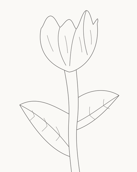 Completed tulip with an irregular bloom, curved stem and two unequal leaves