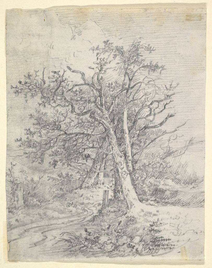 John Crome, Study for Tree Trunks and Lane, a historical drawing in Graphite (recto); soft ground etching (verso).