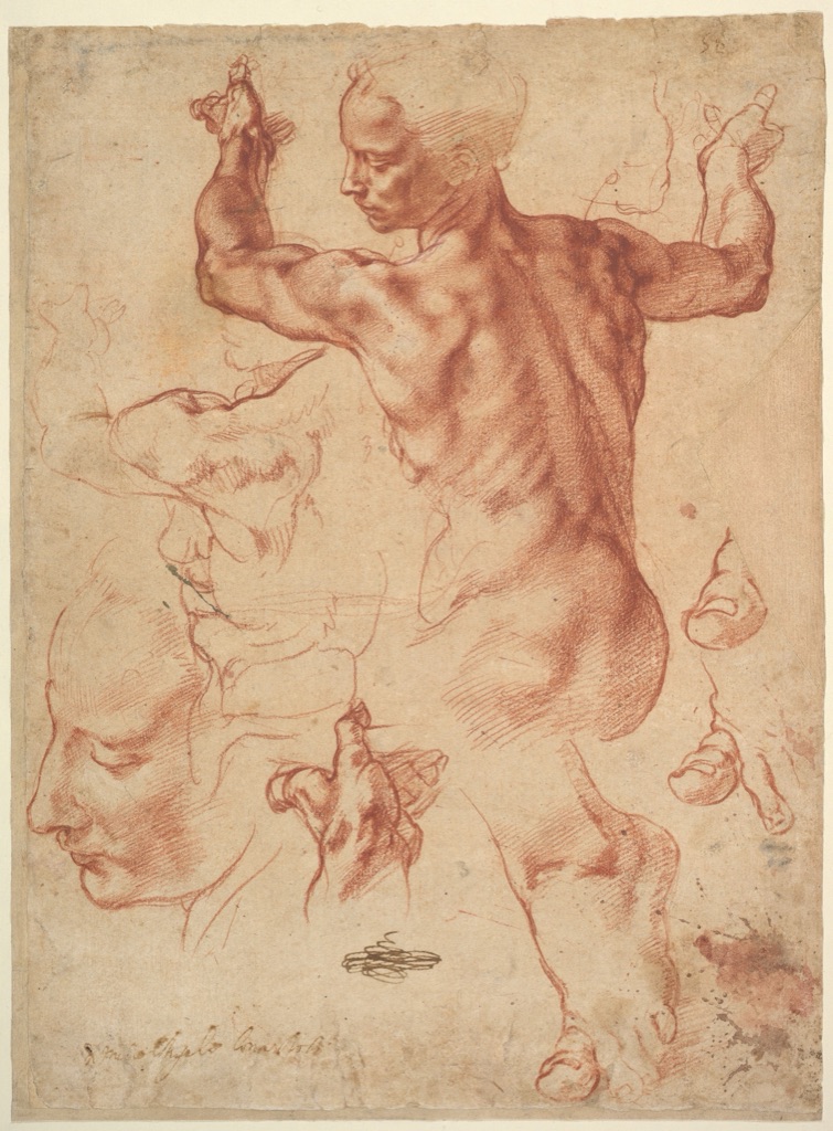 Michelangelo studies for the Libyan Sibyl