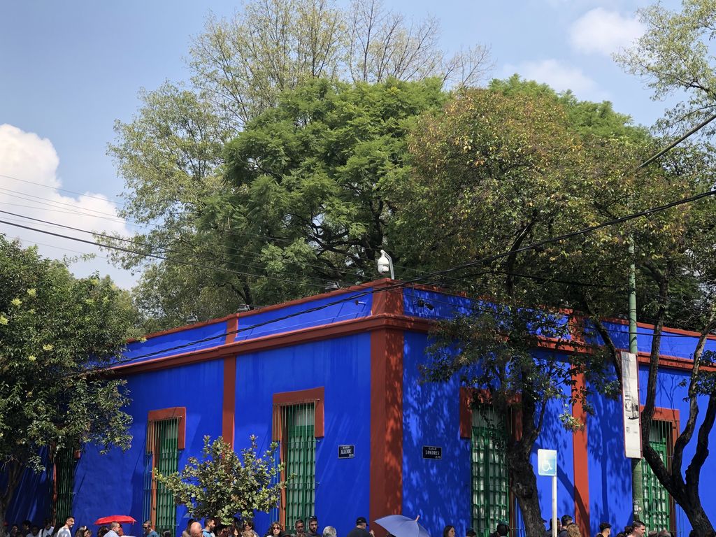 Corner of Casa Azul, with blue walls, red trim, green barred windows and a large tree above the street.