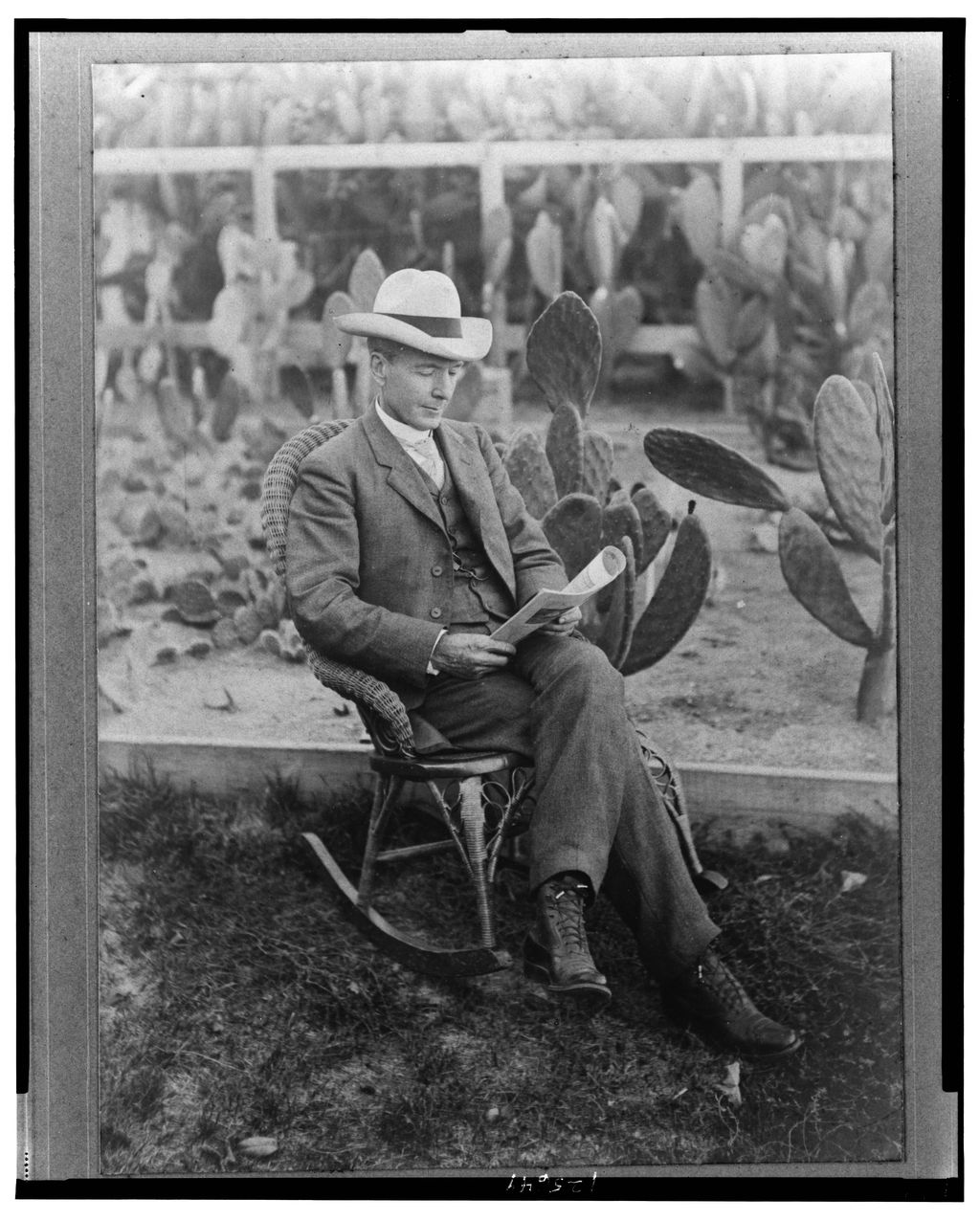 Luther Burbank assis près d’un cactus