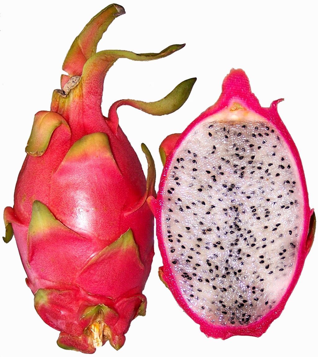 Red pitahaya fruit