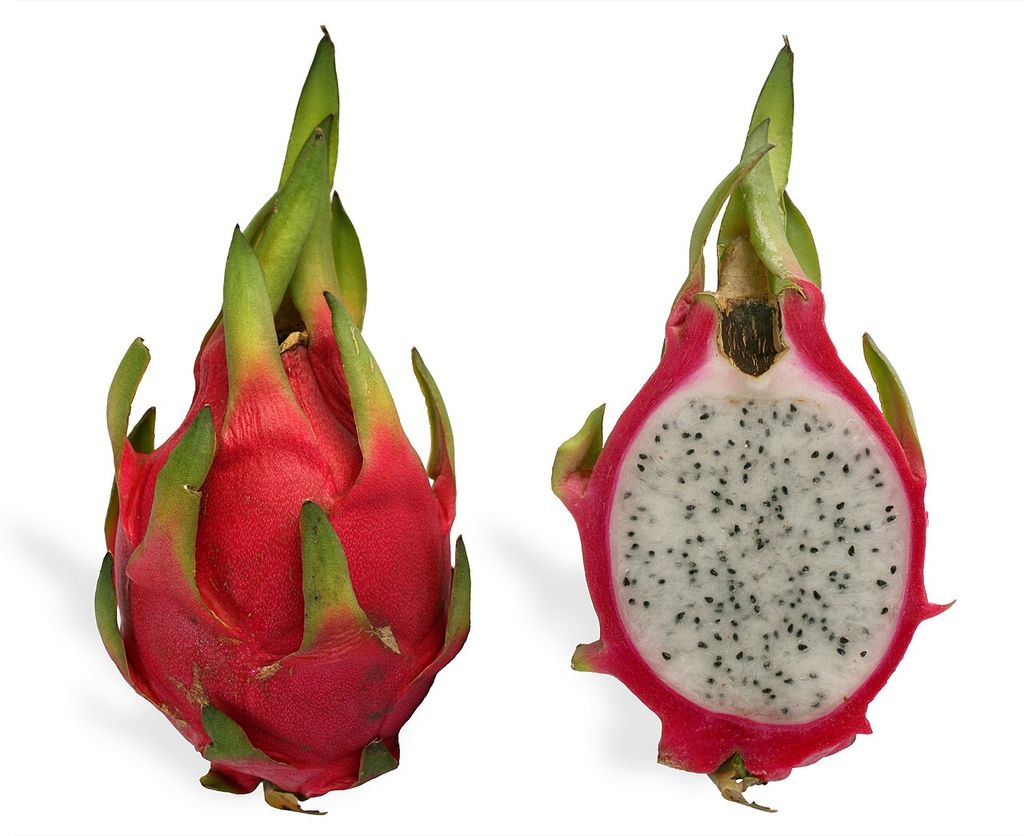 Pitahaya fruit and cross-section