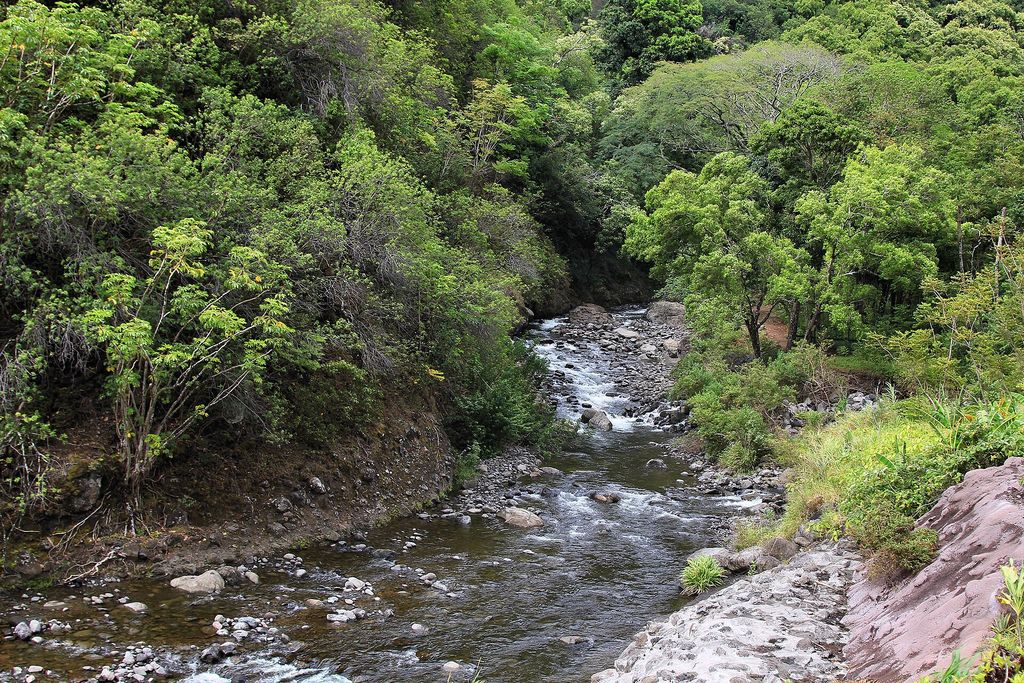 Photograph of ‘Íao Stream in ‘Íao Valley, Maui.