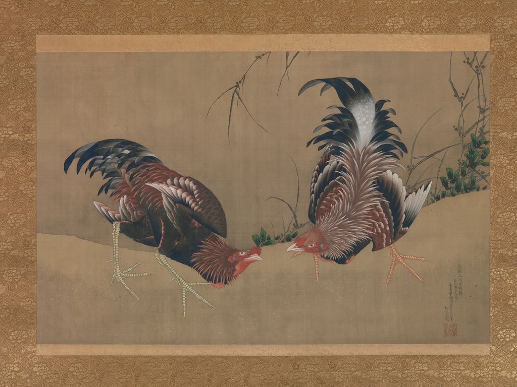 闘鶏