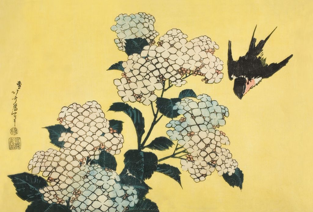 紫陽花に燕