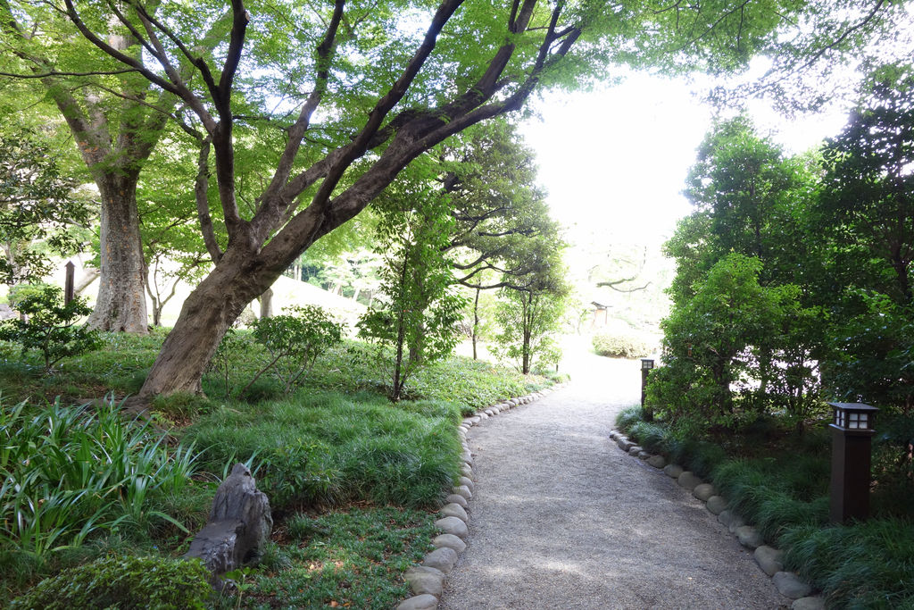 東京・小石川後楽園の園路。曲線を描く道と植栽が歩く方向を導く。