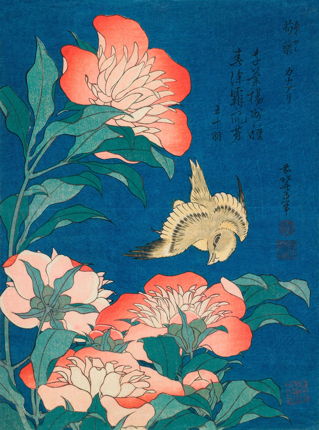 北斎《牡丹と小鳥》の参考画像。館蔵品との同定はしていない。