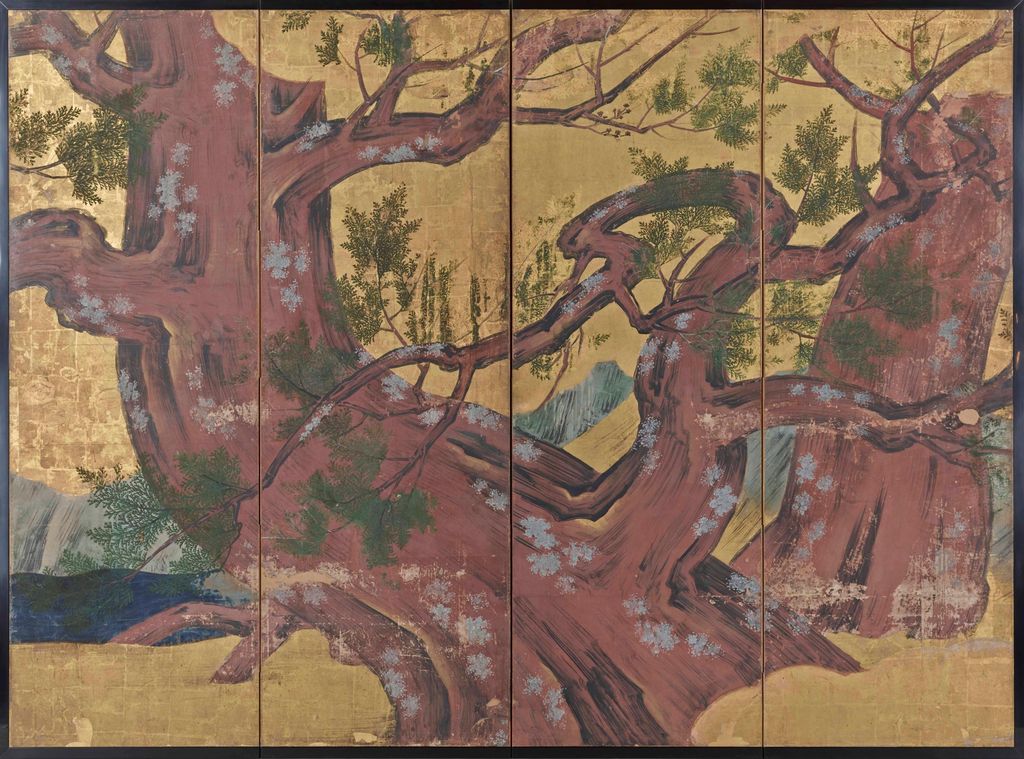 Cypress Trees: 大きな幹の隻