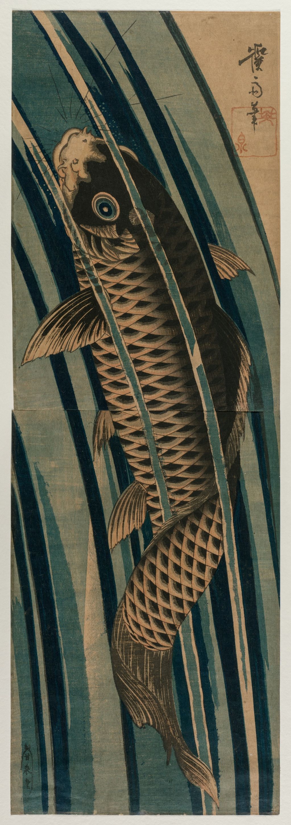 《Carp Ascending a Waterfall》