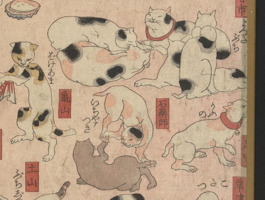 重なる猫と地名の札