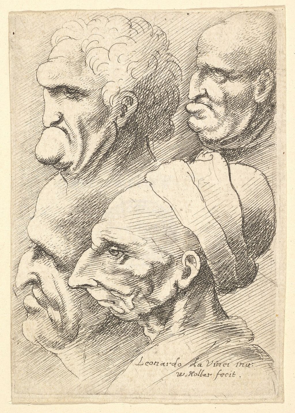 Hollars Druck mit vier grotesken Köpfen nach Leonardo.