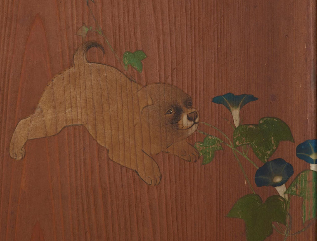 茶色い子犬と朝顔の蔓