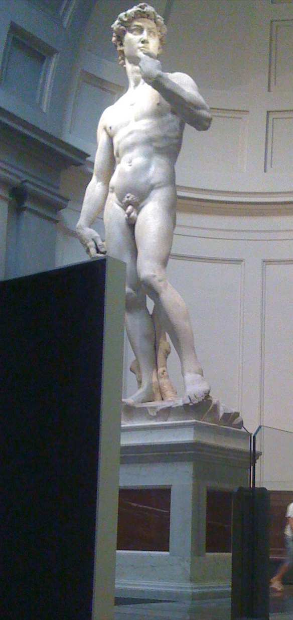 David by Michelangelo in the Galleria dell'Accademia, Florence
