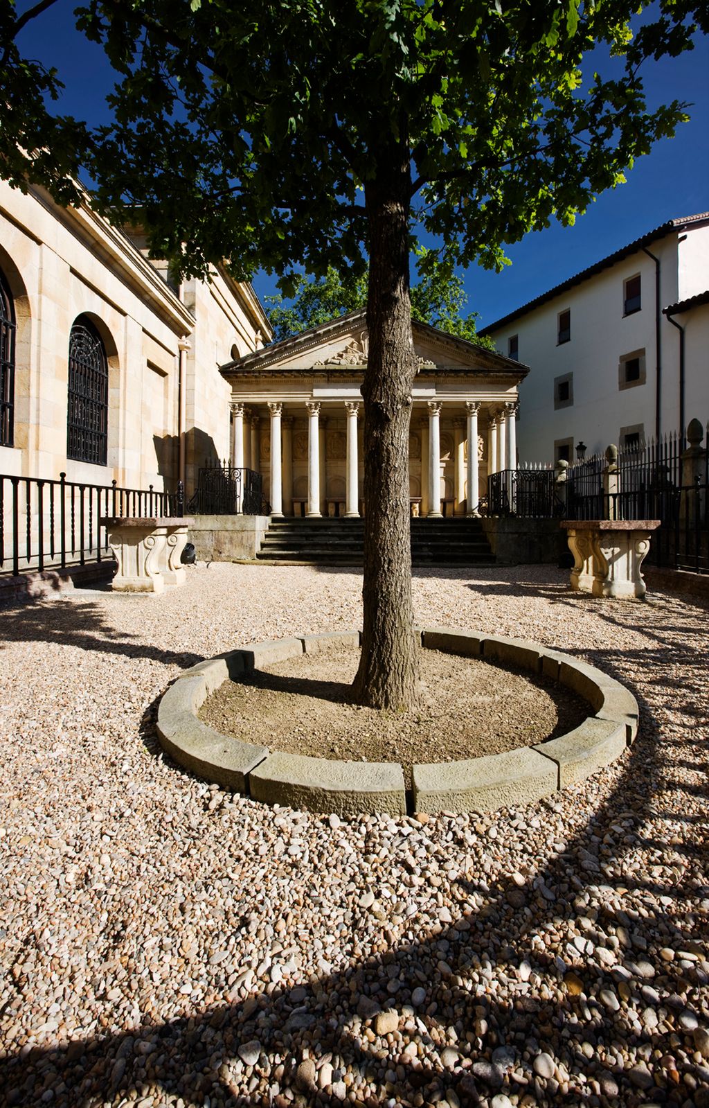 The successor Gernika oak beside the Assembly House, photographed in 2009.