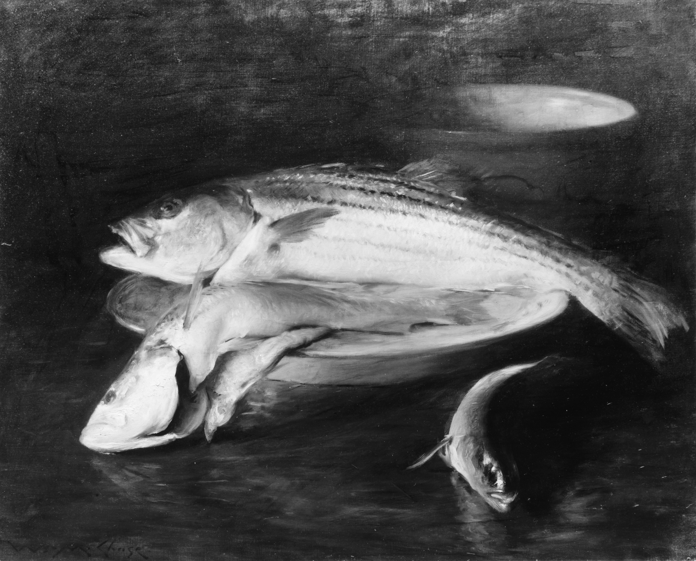 William Merritt Chase's Fish presents three fish against a dark ground in a rapid monochrome still life.