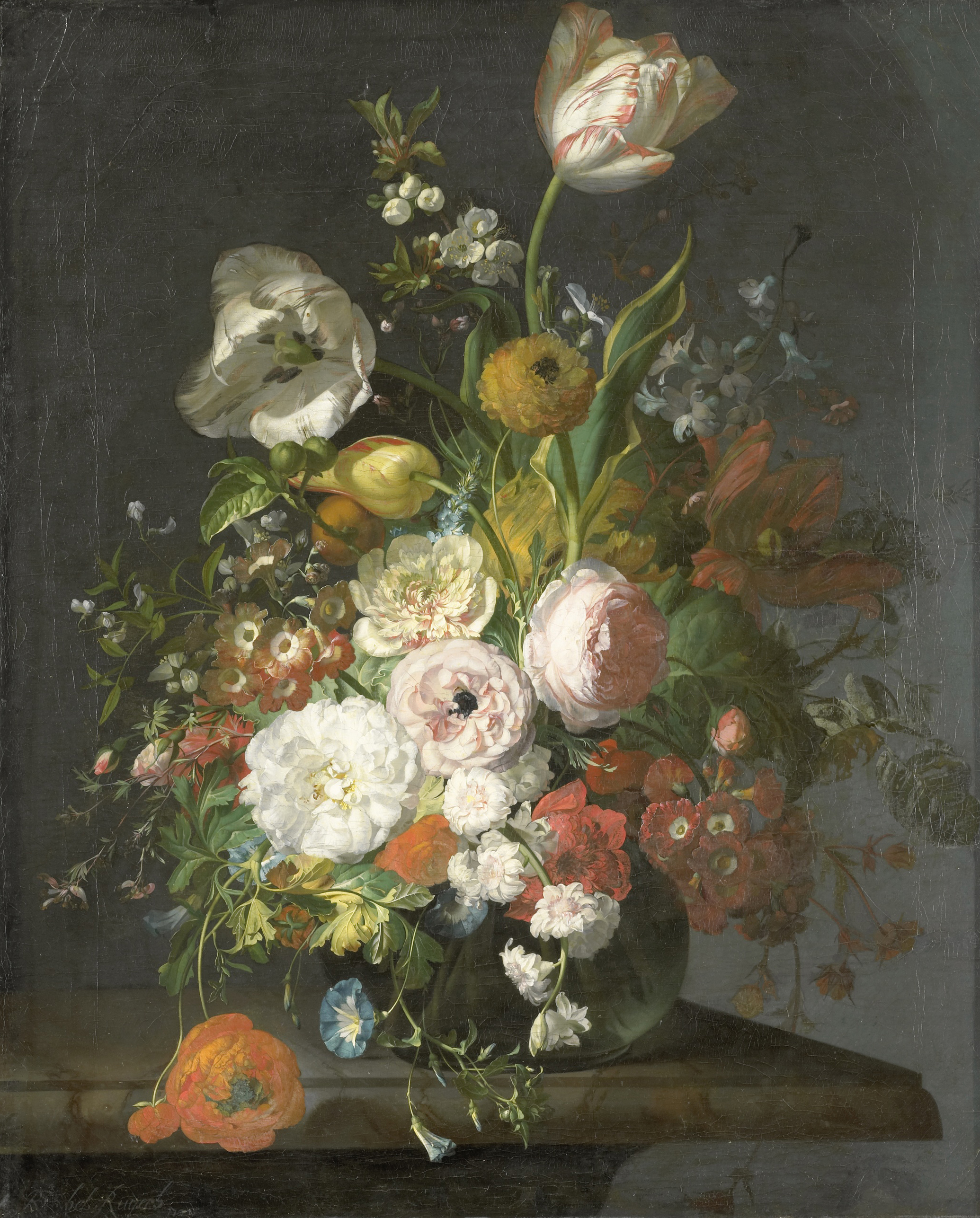A dense bouquet of roses, tulips and other flowers rises from a glass vase in Rachel Ruysch's still life.