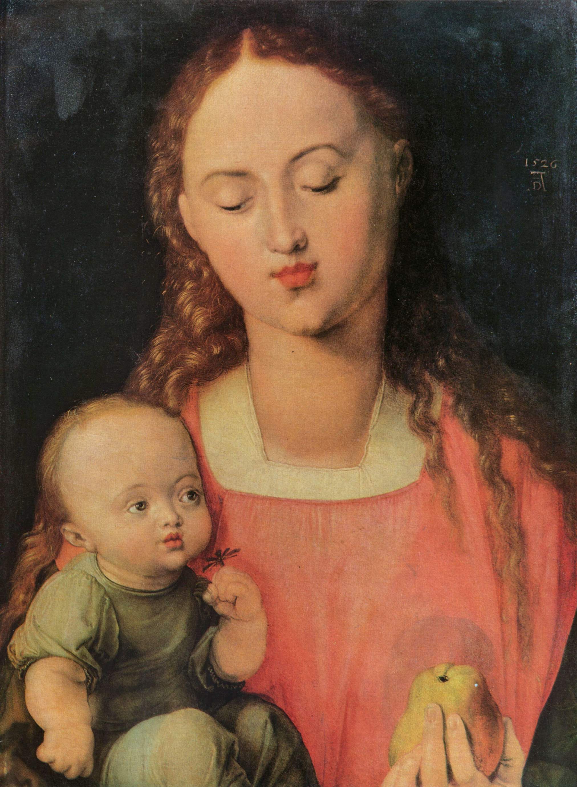 The Virgin looks down as the Christ Child holds a small flower and she presents a pear in Dürer's Madonna and Child.