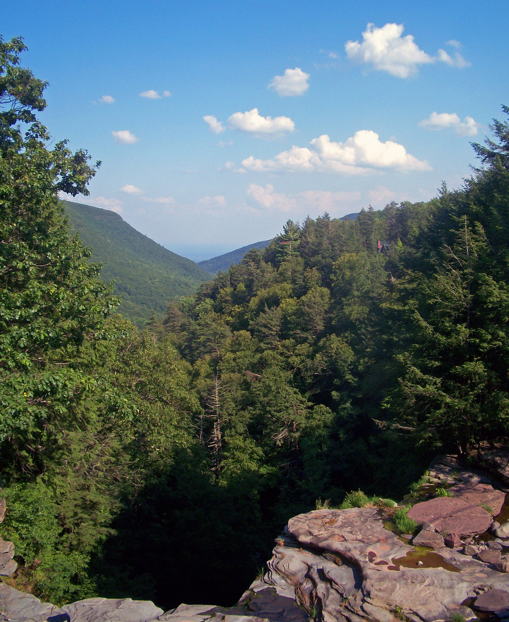 Kaaterskill Clove, looking east near Twilight Park, 2 August 2010. Photograph by Daniel Case. This regional view faces a different direction from Gifford’s westward prospect.