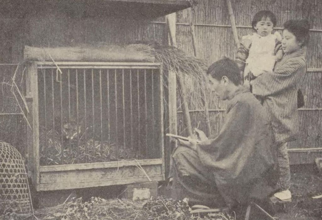 竹内栖鳳。1910年3月掲載、撮影日未詳
