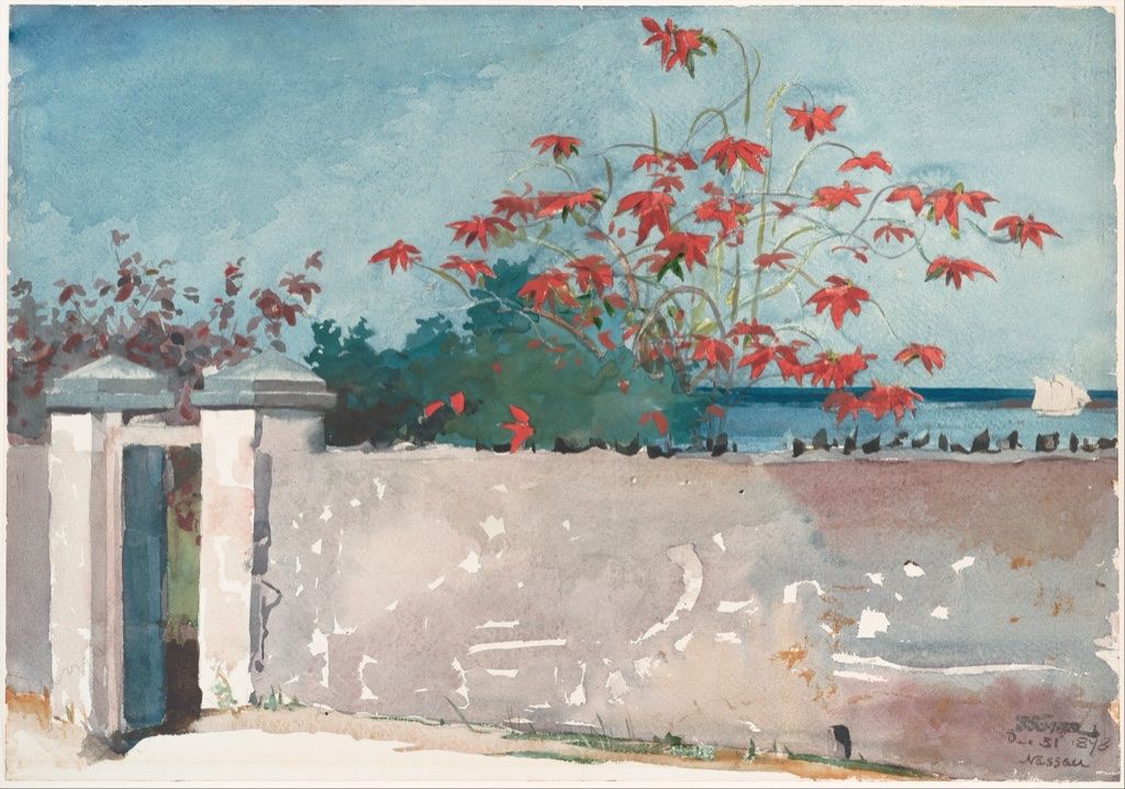 Winslow Homer's sunlit watercolor A Wall, Nassau with pale masonry and vivid foliage.
