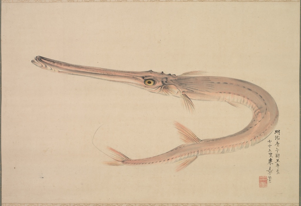 A pale pink-gray needlefish curves across cream paper beside black calligraphy, a red seal and a small yellow eye.