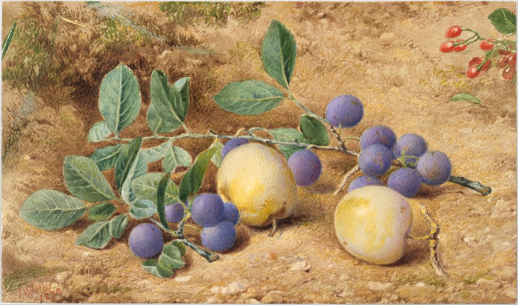 Hill's still life shows violet-blue plums, pale yellow fruit, green leaves and small red berries on a warm textured ground.