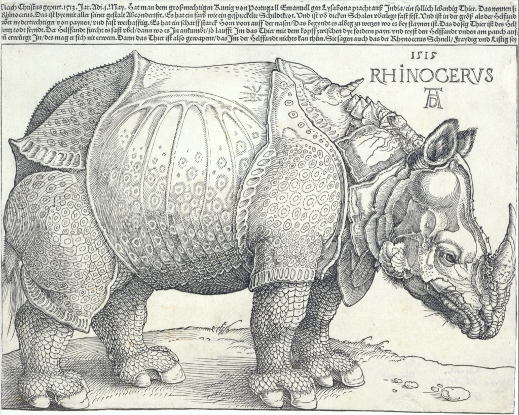 Albrecht Dürer's Rhinoceros uses a firm contour and dense hatched lines to construct the animal's patterned surface.