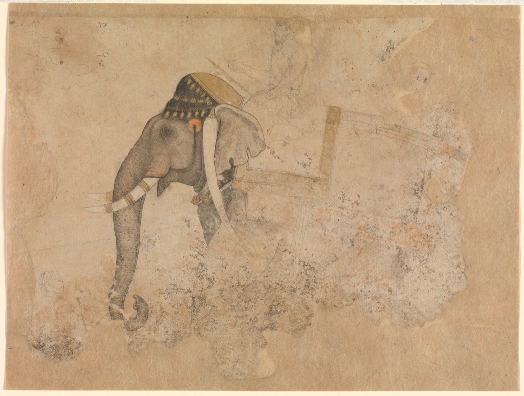 An attributed Hashim drawing shows an elephant and rider in delicate ink contours on a damaged but complete sheet.
